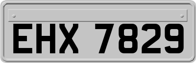 EHX7829