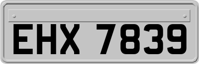 EHX7839
