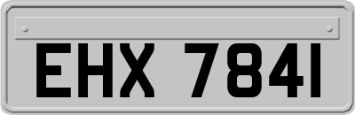 EHX7841