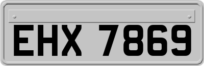 EHX7869