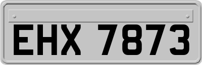 EHX7873
