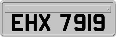 EHX7919