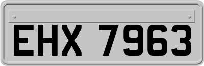 EHX7963