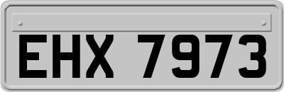 EHX7973