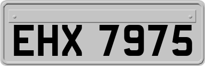 EHX7975