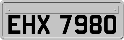 EHX7980