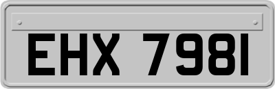 EHX7981
