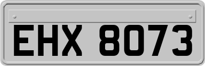 EHX8073