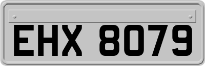 EHX8079