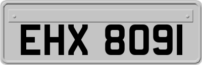 EHX8091
