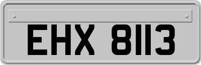 EHX8113