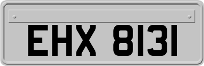 EHX8131