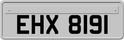 EHX8191