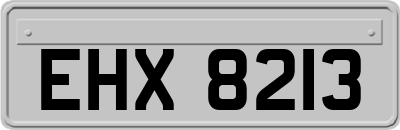 EHX8213