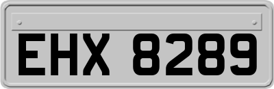 EHX8289