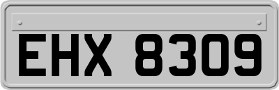 EHX8309