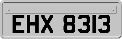 EHX8313