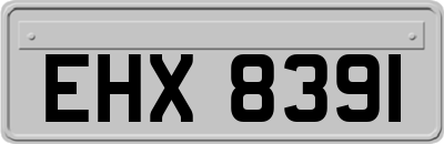 EHX8391
