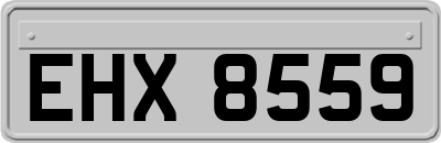 EHX8559