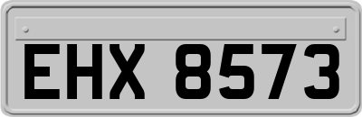 EHX8573