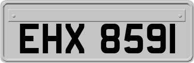 EHX8591