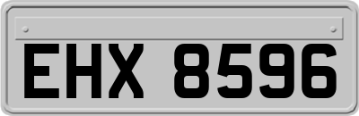 EHX8596