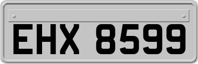 EHX8599