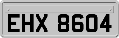 EHX8604