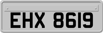 EHX8619