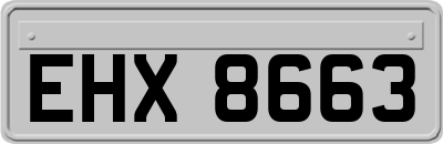 EHX8663