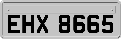 EHX8665