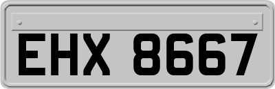 EHX8667
