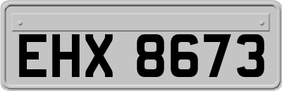 EHX8673