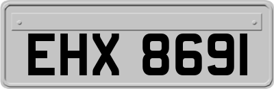 EHX8691
