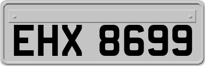 EHX8699
