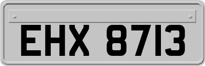EHX8713
