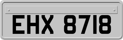 EHX8718