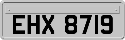 EHX8719