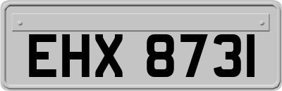 EHX8731