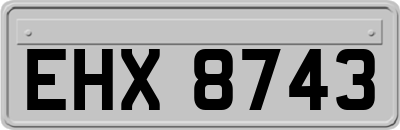 EHX8743