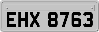 EHX8763