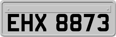 EHX8873