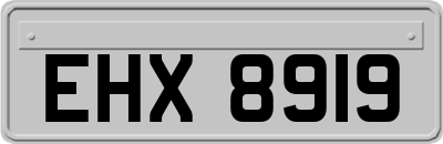 EHX8919