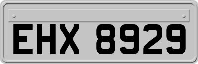 EHX8929
