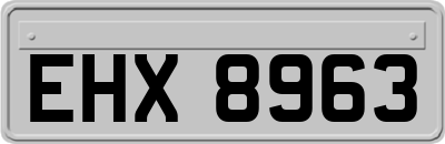 EHX8963