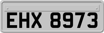 EHX8973