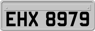 EHX8979