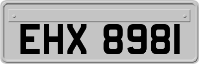 EHX8981