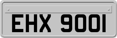 EHX9001