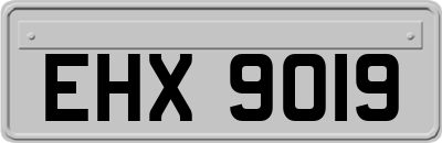 EHX9019